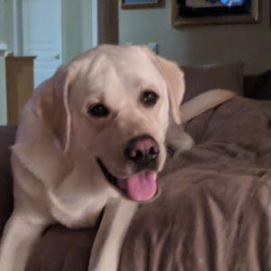 Meet your Posher, Benjamin